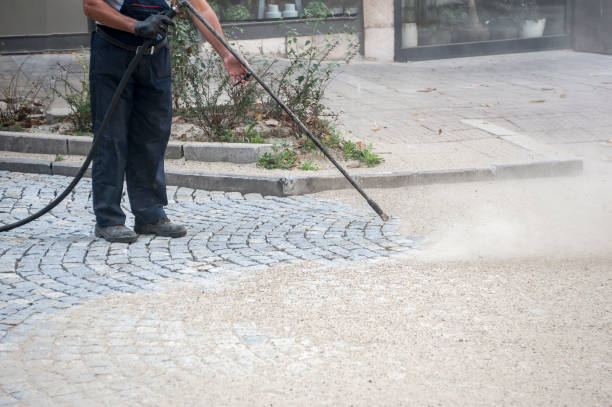 Animal Enclosure Cleaning in Port Clinton, OH